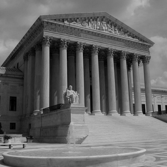 SupremeCourt_Gadfly_585x585