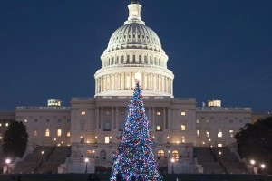 Christmas_585x585