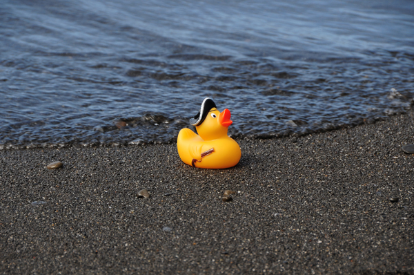 Ducky-0083