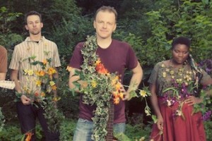 echobloom